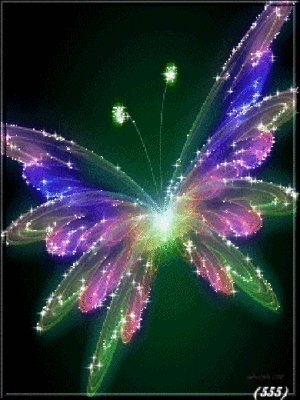  Glittery butterfly, kipepeo