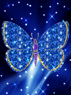  Glittery butterfly, kipepeo