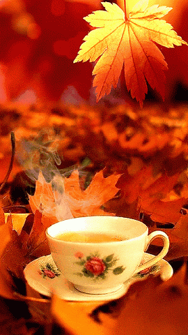  Have A Beautiful Autumn Morning Kat 🍂
