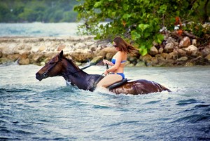 Horseback Riding In Jamaica
