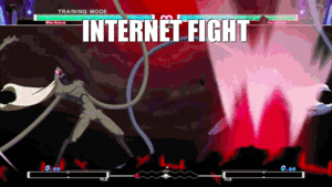  Internet Fight