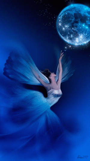  Moon fairy
