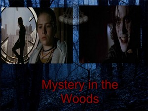  Mystery in the Woods