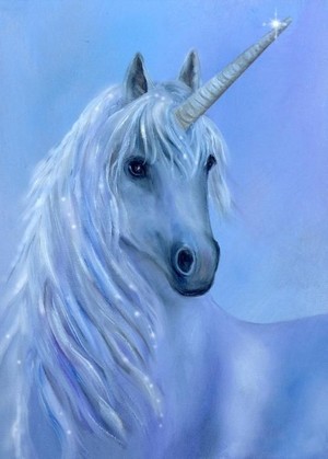  Pretty unicorn