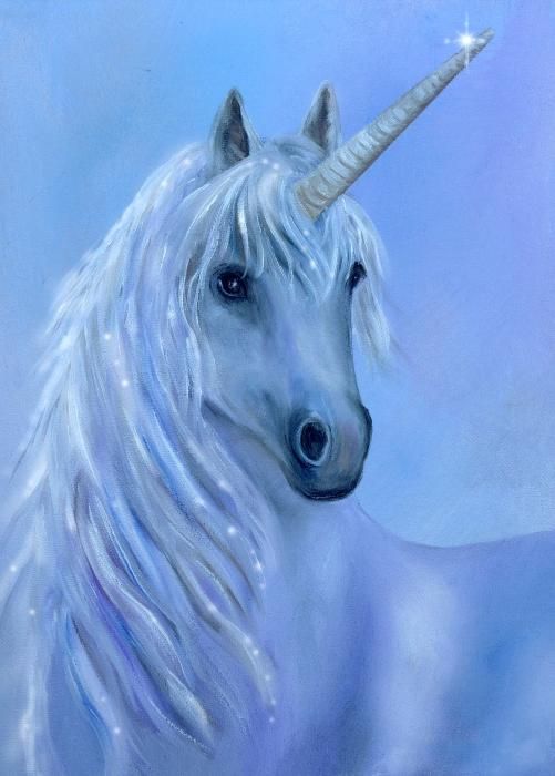 Pretty unicorn 