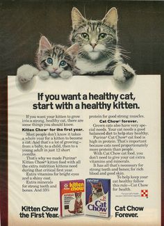  Promo Ad For Kitten And Cat Chow