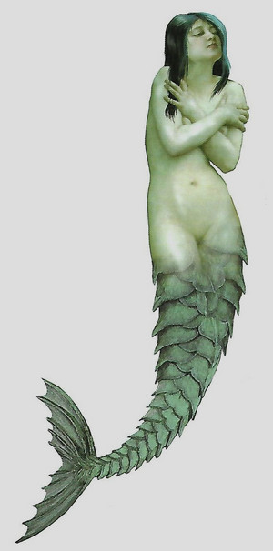  Sirena