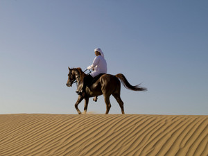  The Arabian Horse
