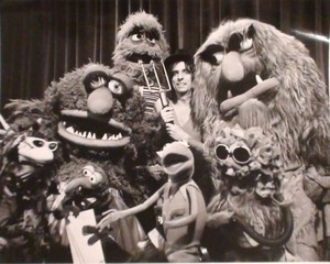  The Muppet montrer