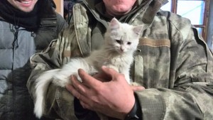 Ukranian Soldiers And Their Kitten