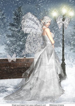  Winter Fairy