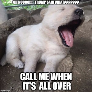  cute puppy memes