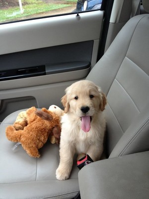  going for a ride