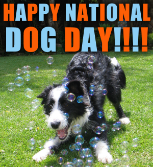  happy national dog день