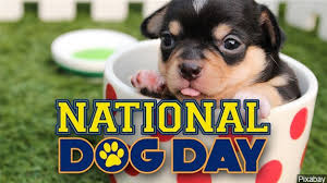  happy national dog 日