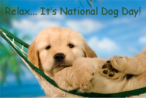 happy national dog day