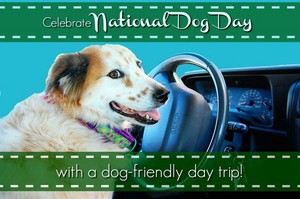 it's national dog 日