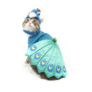 kittens in costume