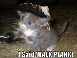pirate kitty