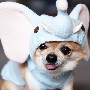  子犬 in costume