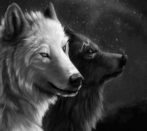  spirit wolves