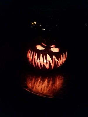  spooky Halloween cat pumkin💖