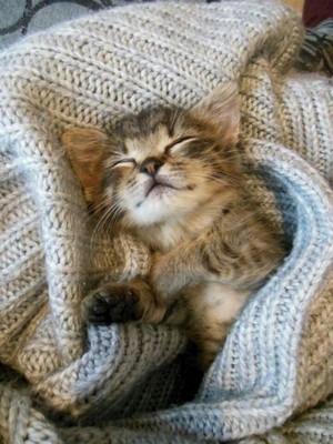 warm and cozy