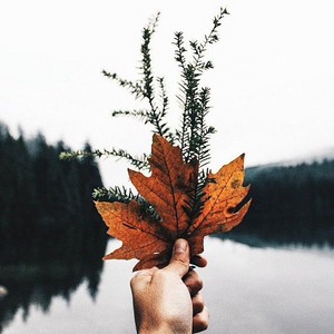  Autumn tumblr