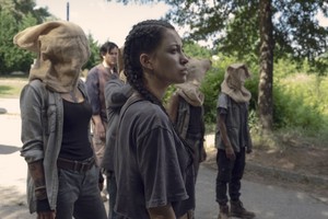  9x06 ~ Who Are You Now? ~ Rosita