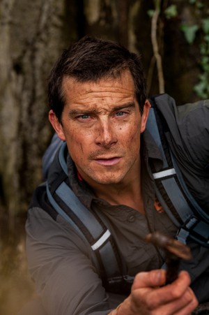  ours Grylls