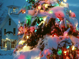 Beautiful Christmas Tree 🎄