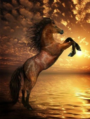 Beautiful Sunset Horse