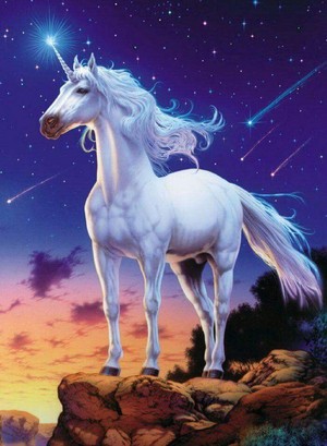  Beautiful Unicorn