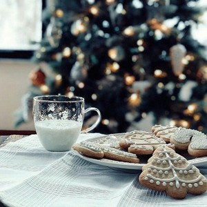  natal trees, milk, and biscoitos, cookies 🎄