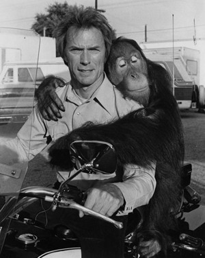  Clint and Manis the Orangutan aka Clyde