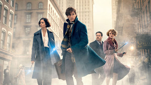  Fantastic Beasts And Where To Find Them
