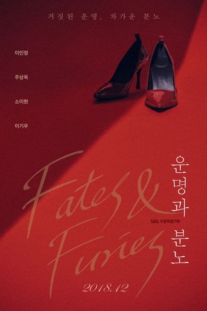  Fates Furies Poster