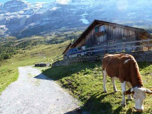  Grindelwald, Switzerland
