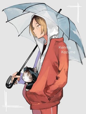  Kenma and Kenma cat