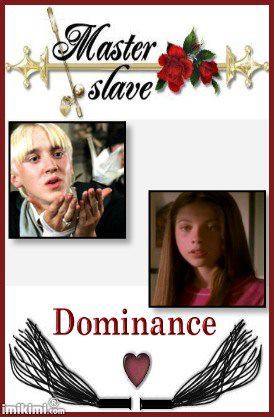  Master and Slave Dominance