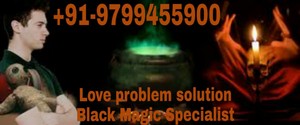  Numerology Specialist Astrologer in India |Call 91-9799455900