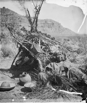 Paiute Woman "The Basketmaker" Making Basket Near Brush Dwelling) John K. Hillers 1873) 