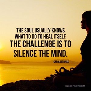  Quote Pertaining To Quiet Meditation