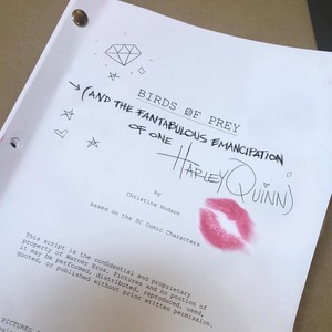Script Cover for 'Birds Of Prey (And The Fantabulous Emancipation Of One Harley Quinn)'