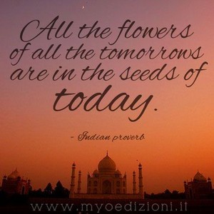  Seeds Of Today Quote