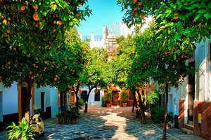  Seville, Spain