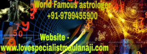 Top Astrologer in India - Raja Hussian Maulana ji  91-9799455900