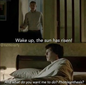  lol! Sherlock! 🤣