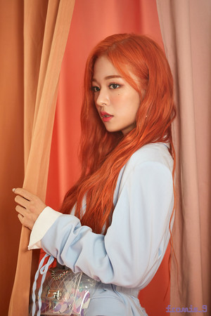  'From.9' جیکٹ behind - Chaeyoung