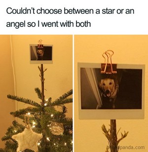  Christmas Memes